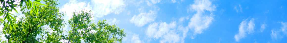 ごあいさつ｜介護付き有料老人ホーム　申孝園ロータスヴィラ（シンコウエンロータスヴィラ）