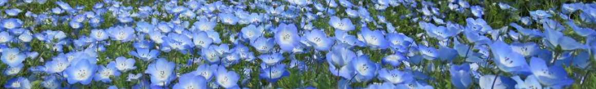 四季折々の自然に囲まれた環境｜株式会社南日本ライフ 介護付き有料老人ホーム「ガーデンハウス慈遊館」