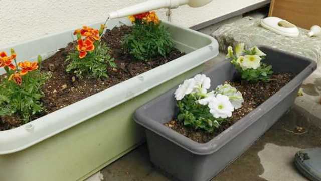 創業46年の実績、地域に貢献いたします|玉川ケアサービス(居宅介護支援・訪問介護)