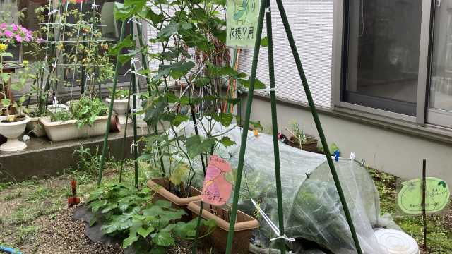 身体機能維持に効果的な野外歩行路を設置！｜生き活きハウス春日井　ピュアスタイルリハビリセンター