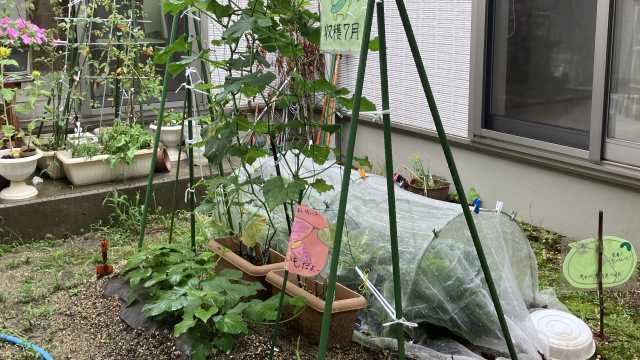 閑静な住宅街に設立された住宅型有料老人ホーム！｜住宅有料老人ホーム 生き活きハウス春日井　ピュアスタイル訪問介護事業所 併設