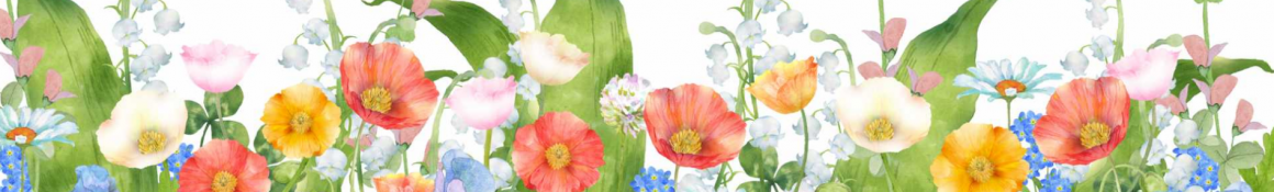 ー事業所の特徴ー｜BEST AID訪問看護ステーション