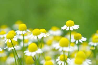 〈心のケア〉｜BEST AID訪問看護ステーション