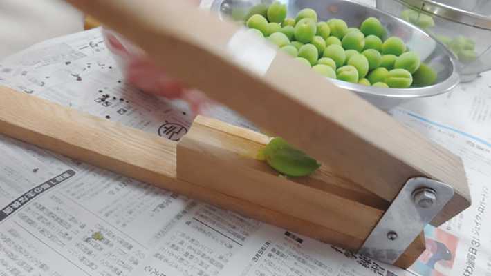 イベントも充実!|デイサービス おちゃっこ大泉