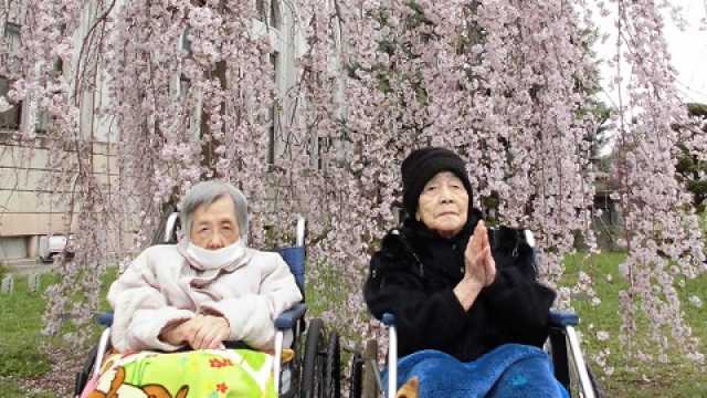 ひとりひとりに合った豊かな生活を|特別養護老人ホーム花嵐