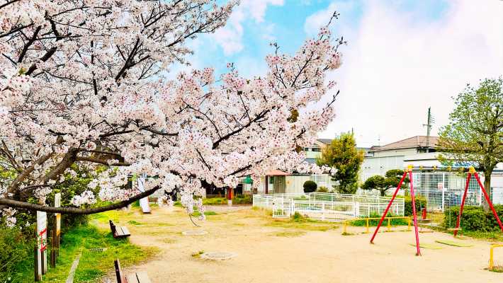 周辺環境｜住宅型有料老人ホーム ニコアス東住吉／訪問介護シーエヌシー