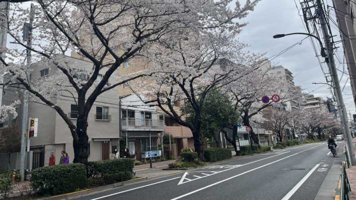地域とのつながりを大事にしています|ケア21メディカル訪問看護ステーション ぴ~す練馬