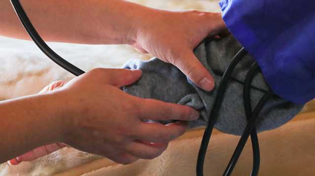 人生に触れる、心に寄り添ったケアを。|バナナの葉訪問看護ステーション