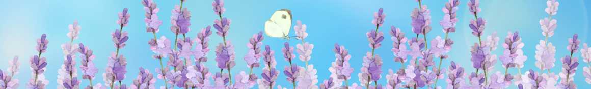 日常生活の支援と医療|グループホーム 桜ノ宮なごみ
