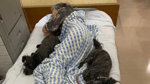 ?ワンちゃんのいる通所リハビリテーション?|上原医院通所リハビリテーション