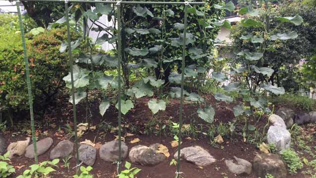 くらかけ庵は【フレイル（虚弱）予防】を心がけています｜住み慣れた地域で元気にいきましょう！【地域のデイサロン  くらかけ庵】