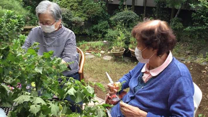 「ケア・ファーム（介護×農業）の実践｜住み慣れた地域で元気にいきましょう！【地域のデイサロン  くらかけ庵】