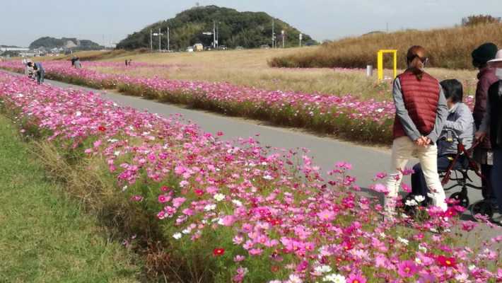 四季を楽しめる年間行事｜デイサービス　だんらん松寿山