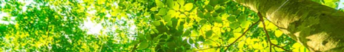 【入居をご検討中の皆様へ】ルンビニ合掌苑はこんなところです｜軽費老人ホーム　ルンビニ合掌苑