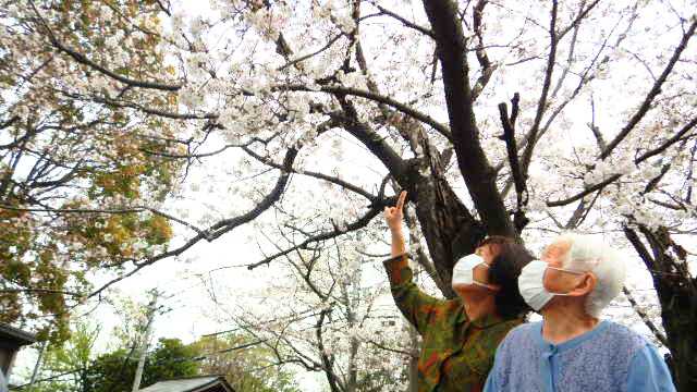 いつまでも明るく元気で!そんなご家族の想いを大事にしています|看護師が作った小規模デイサービス ? ふくろうの家 ?