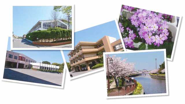 在宅の介護・家事でお困りの方、お任せください! 介護のプロがご自宅にお伺いいたします。|サングリーン ヘルパーステーション