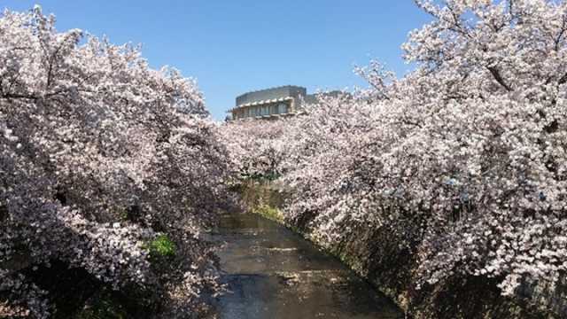 在宅サービスは「まるごと正吉苑」にお任せください｜社会福祉法人正吉福祉会　訪問看護ステーション　まちだ正吉苑