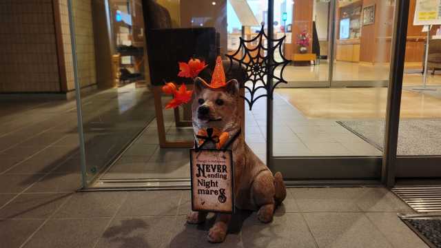 在宅サービスは「まるごと正吉苑」にお任せください｜社会福祉法人正吉福祉会　訪問看護ステーション　まちだ正吉苑