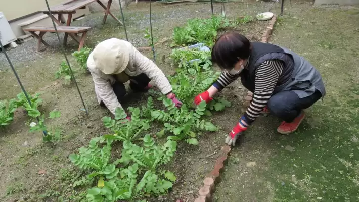自然と触れ合える広いお庭|グリーンケア・デイサービス中尾別邸