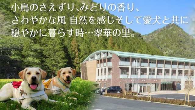 《犬と共に暮らす》先進の介護システム×安心と安らぎのある空間｜特別養護老人ホーム　翠華の里