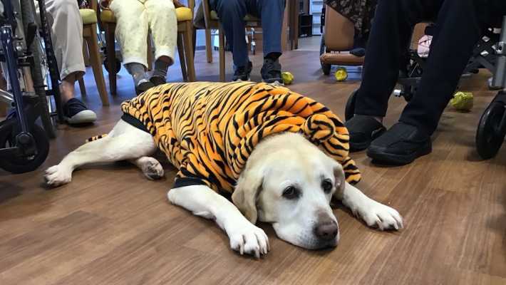 *充実の設備*｜特別養護老人ホーム　翠華の里