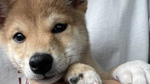 『あなたの自分らしさを引き出すケア』を提供します!|わんぽにー訪問看護