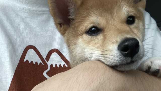 『あなたの自分らしさを引き出すケア』を提供します!|わんぽにー訪問看護