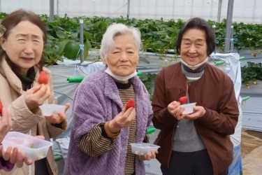 《機能訓練を兼ねた外出》｜ケアポート銀の鈴