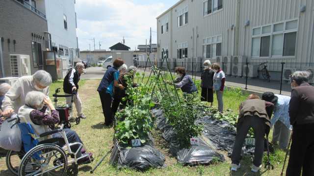 体とこころが元気になれる場所｜デイサービスむつみ