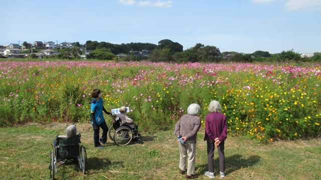 体とこころが元気になれる場所｜デイサービスむつみ