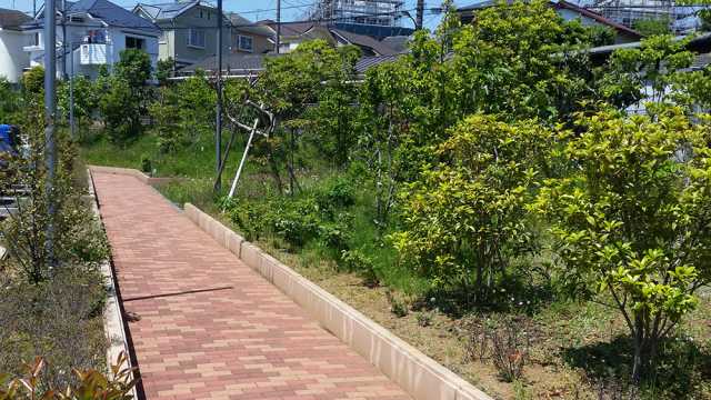 快適な環境の中で、明るく心安らぐ『暮らし』づくりをご提案いたします。|社会福祉法人みどり福祉会【特別養護老人ホーム 高ケ坂ひかり苑】