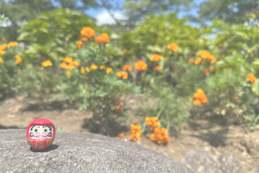 だるまの原点（会社全体の考え方）｜訪問看護ステーション　さがみアットホームナーシングだるま