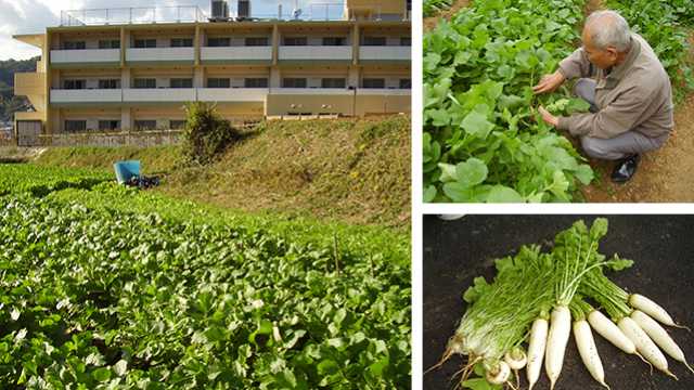 わらべ(童心)にかえって、毎日笑って暮らすべ~をモットーに!|介護付有料老人ホーム わらべの里