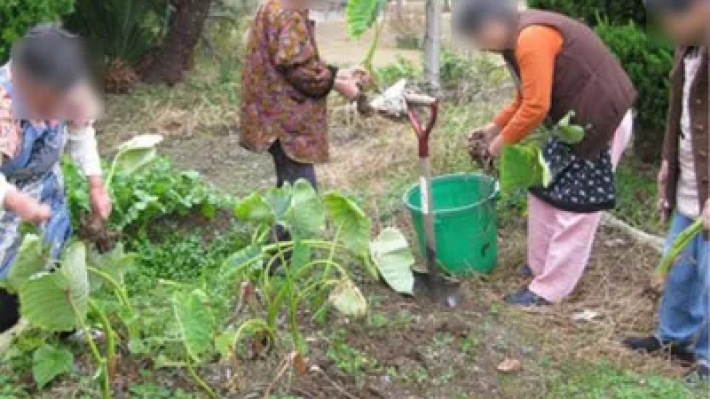 広大な庭で家庭菜園を楽しめる|ふれあいの家 清和苑