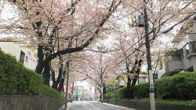 住友林業の“家造り”の経験とスミリンフィルケアの“介護”の経験を集結させたホームです。｜グランフォレスト田園調布