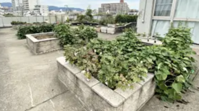 家庭的なぬくもりの中で、その人に寄り添うケア｜認知症対応型デイサービスセンター神港園レインボー西宮