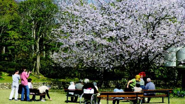 しあわせに自分らしく｜特別養護老人ホーム神港園しあわせの家