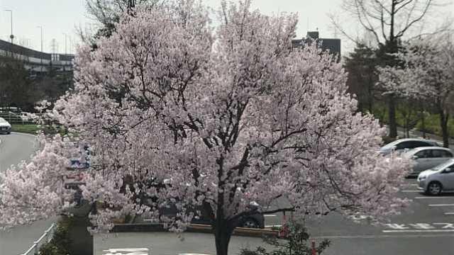 【介護と医療が連携し入所者様が安心できる療養環境をご提供いたします】｜介護老人保健施設　びわの葉