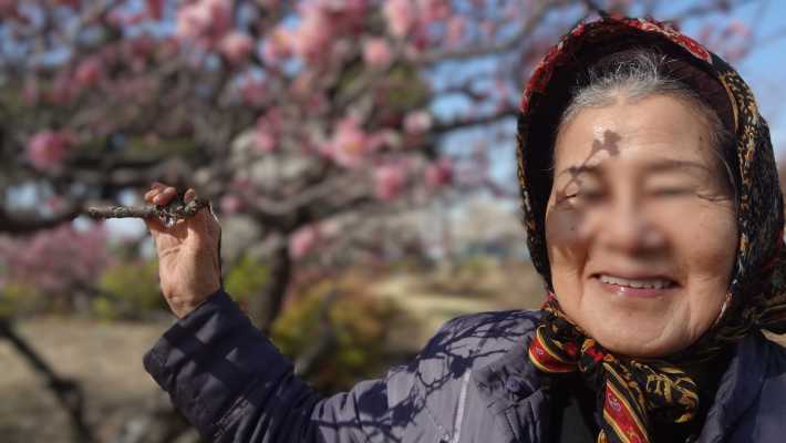 【散歩】｜デイサービスあかり・藤沢地域福祉事業所あかり