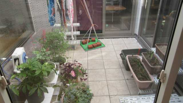 安城市桜井町の家庭的なデイサービス！｜デイサービスさくら