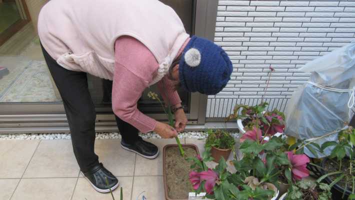 サービス内容②　入浴・レクリエーション｜デイサービスさくら