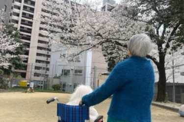外出レクレーション|デイサービスセンター煌奏館