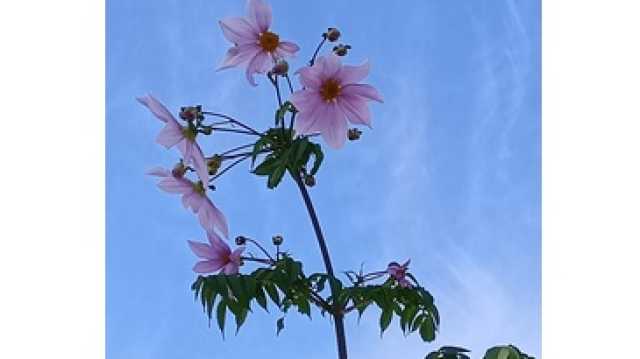 地域密着型のデイサービスです。｜介護サークルかがやき網代橋