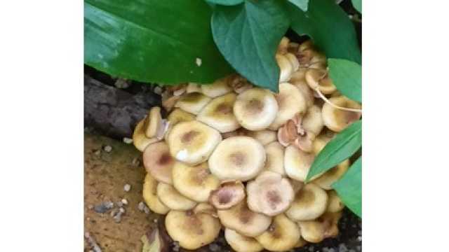 地域密着型のデイサービスです。｜介護サークルかがやき網代橋