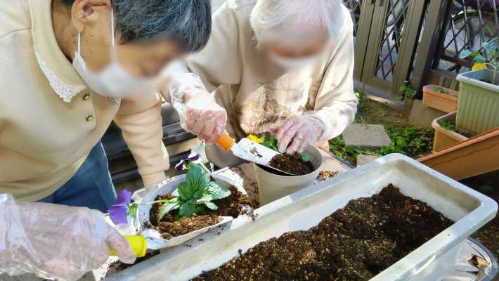 園芸・あなたの好きなレクは何ですか？🪻｜介護サークルかがやき網代橋