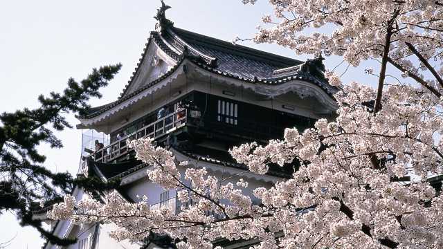 【岡崎市康生通】共生型デイサービスの康生です！｜デイサービス康生　／　（株）信洋会