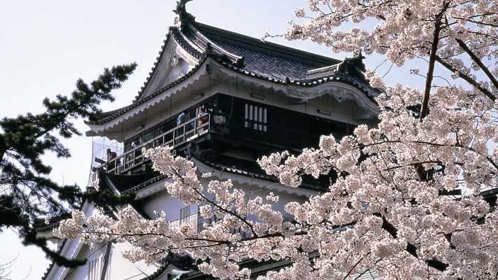 岡崎城が目の前のデイサービス｜デイサービス康生　／　（株）信洋会