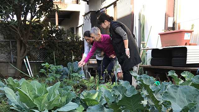 毎日をいきいきと暮らすお手伝い。通所型のデイサービスです。★土日祝も対応！★｜スマイルデイサービス新高島平