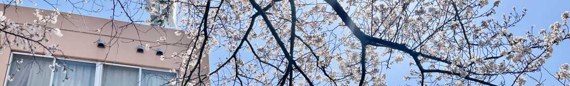 在宅診療、入院治療など必要に応じて医療との連携をいたします|大井中央病院 訪問リハビリテーション