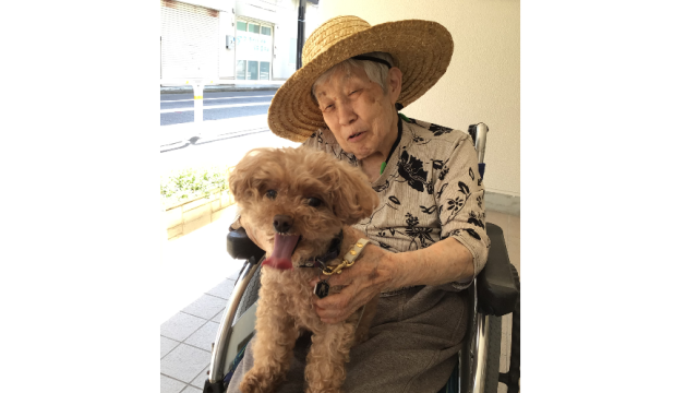 都市型特養ホームの先駆けとして｜成幸ホーム　《併設：成幸在宅サービスセンター／成幸在宅介護支援センター》